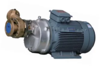 Gear Accelerating Cryogenic Centrifugal Pumps Gear Accelerating Cryogenic Centrifugal Pumps